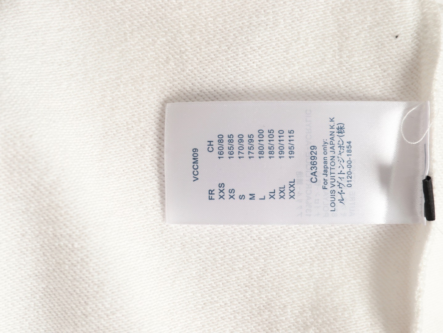 Louis Vuitton LV 25FW Hoodies