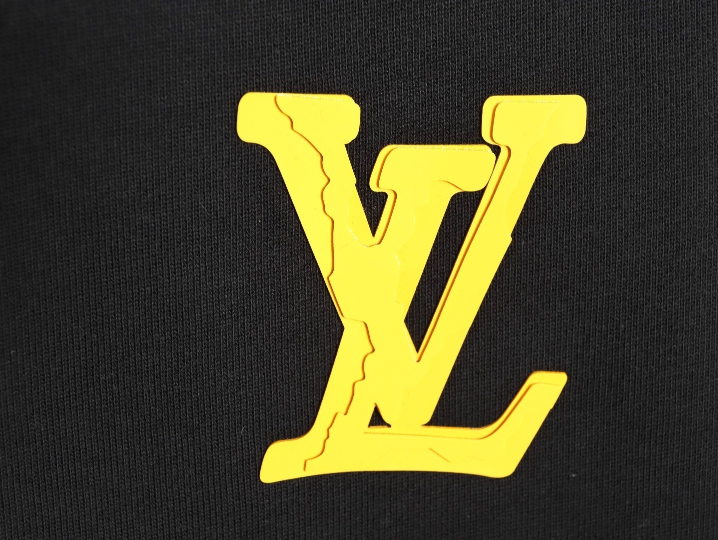 Louis Vuitton LV 25Fw Hoodies