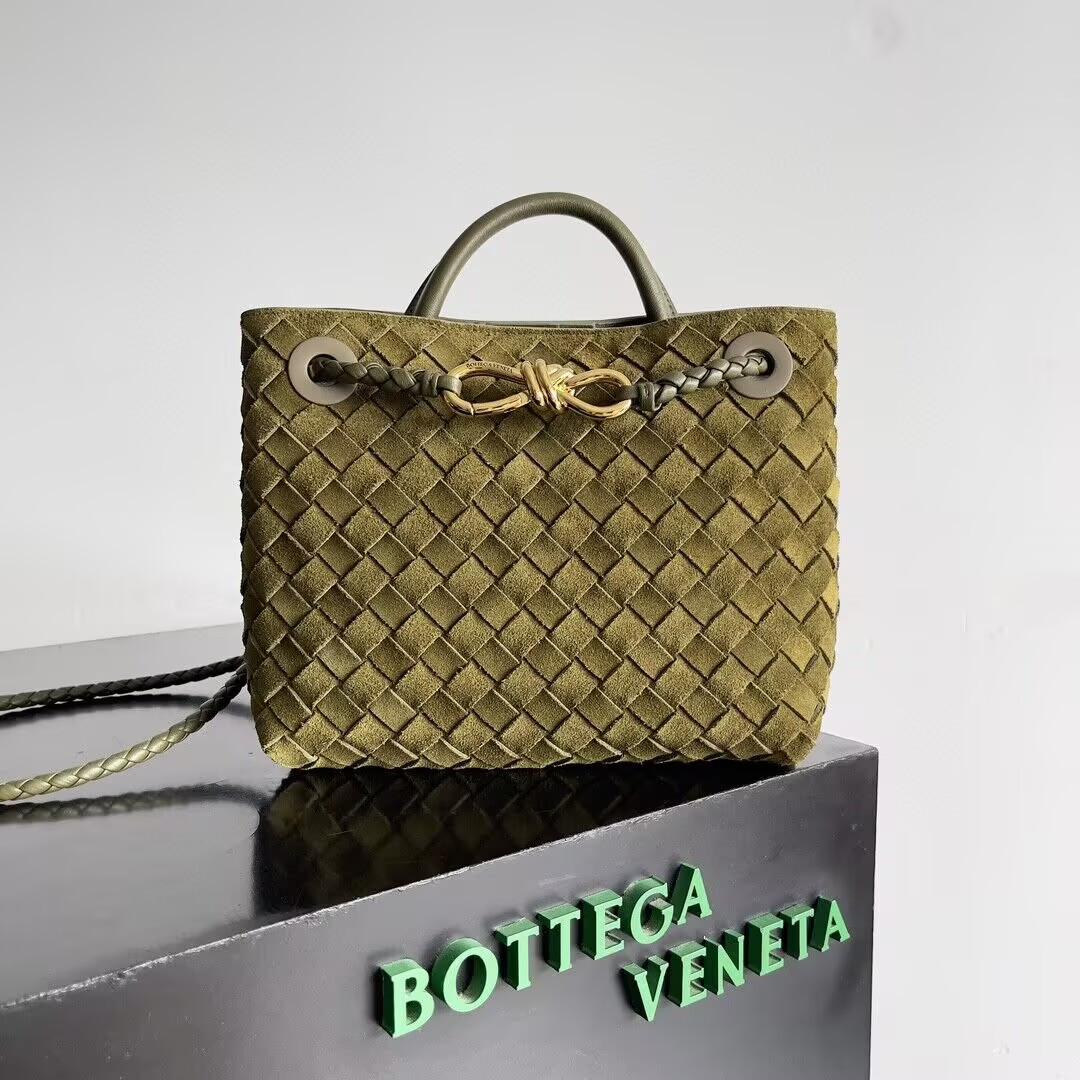 Bottega Veneta Small Andiamo 25x22x10.5cm
