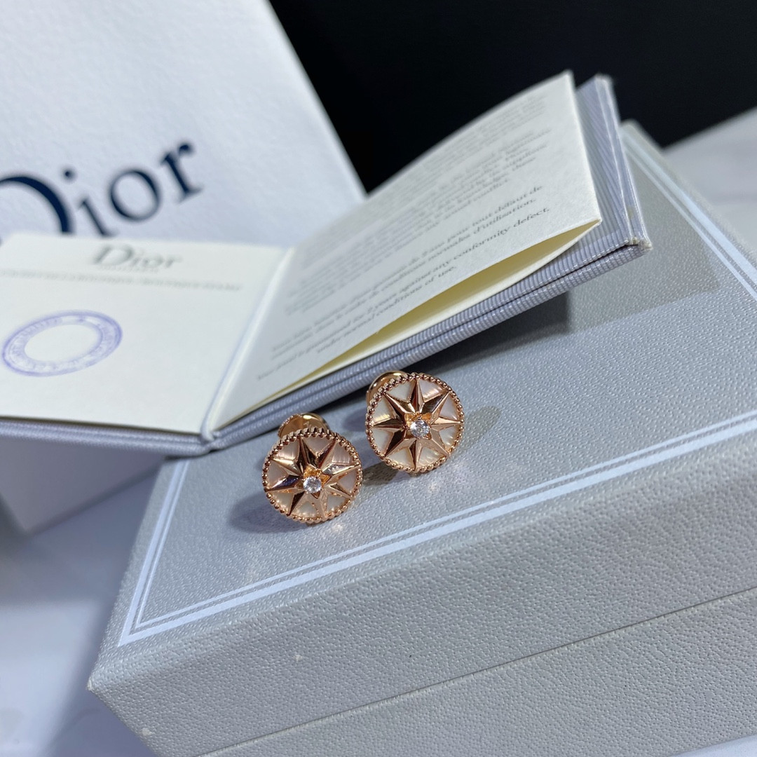 Dior compass Stud Earrings