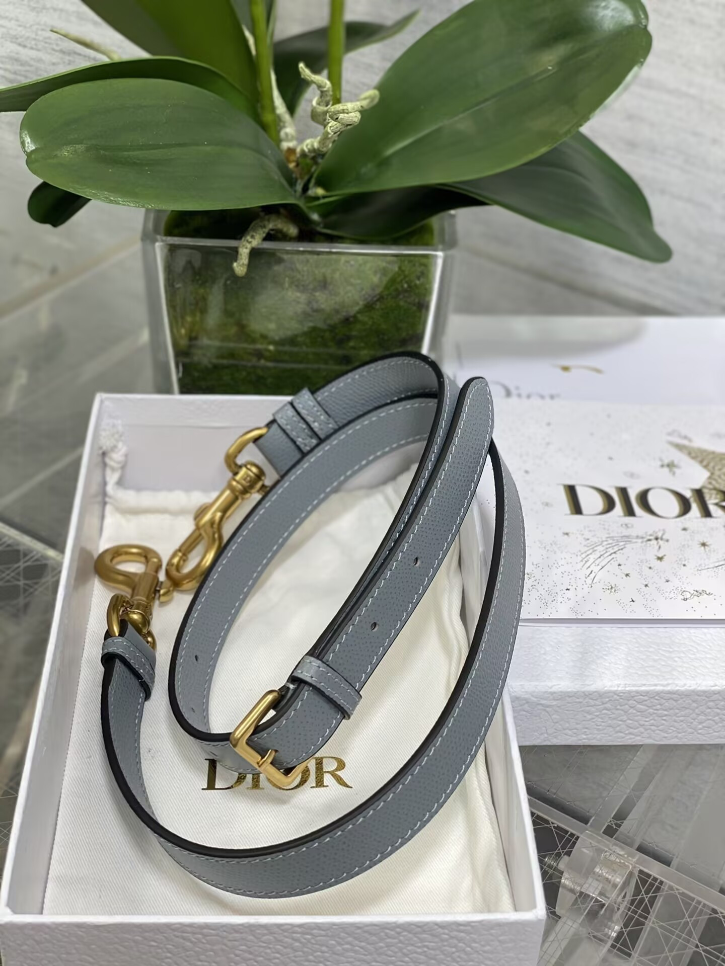 Dior Micro Saddle Bag 17x5x15cm