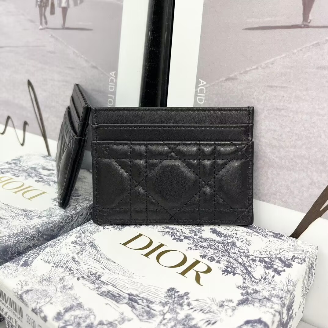 Dior Card Holder