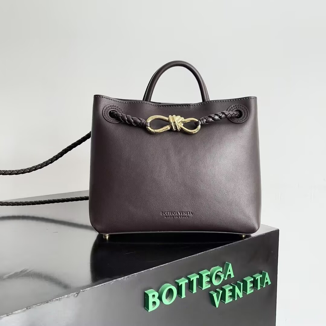 Bottega Veneta Small Andiamo 25x22x10.5cm