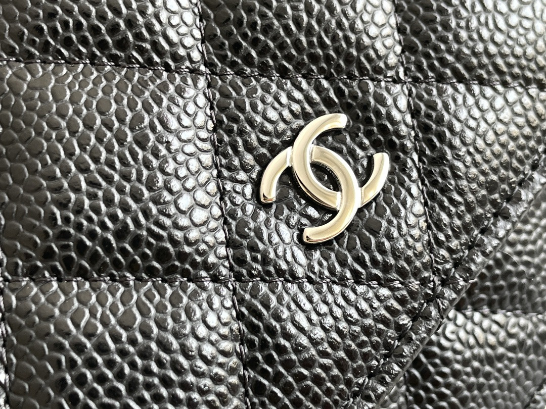 CHANEL WOC CLASSIC WALLET ON CHAIN 12.3x19.2x3.5cm