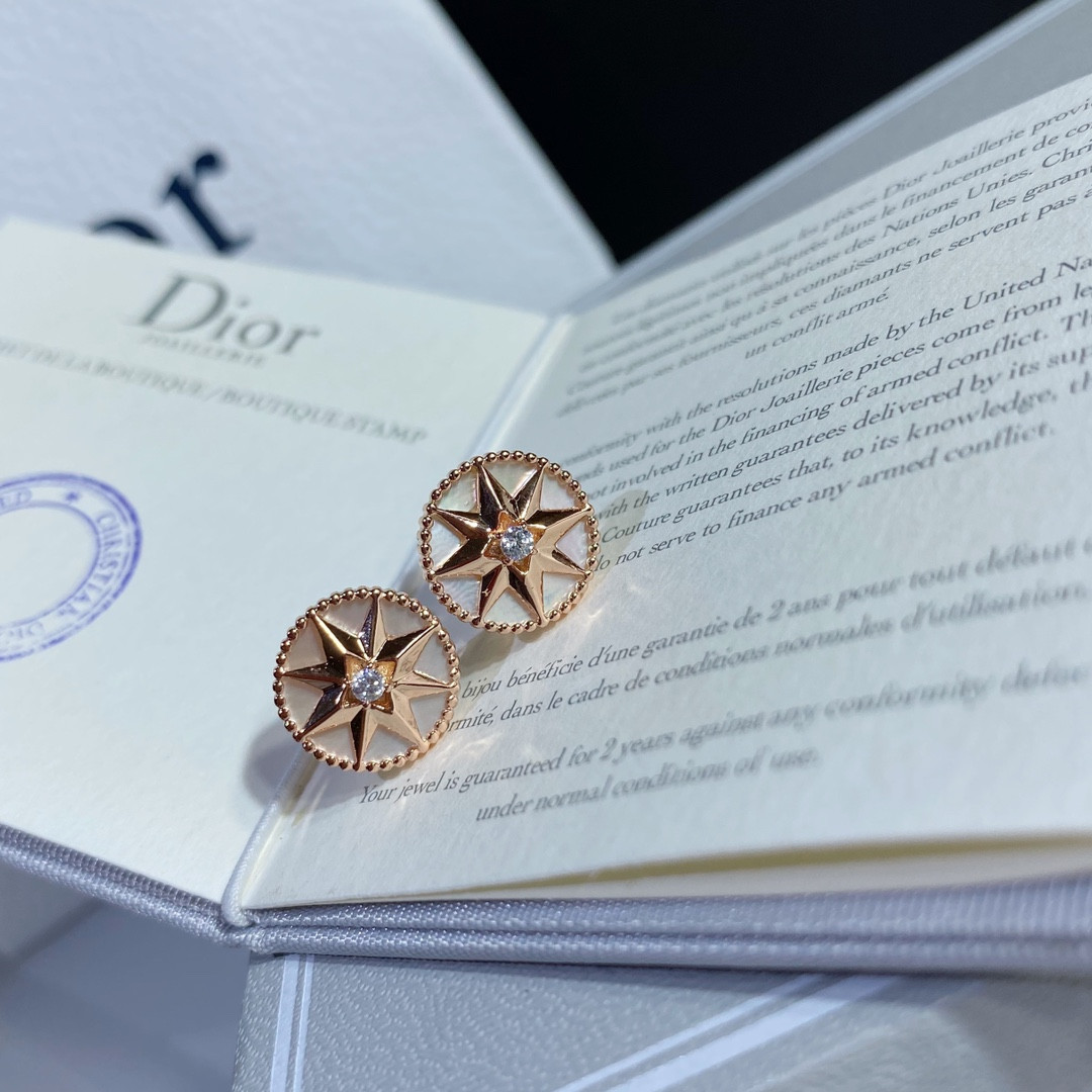 Dior compass Stud Earrings
