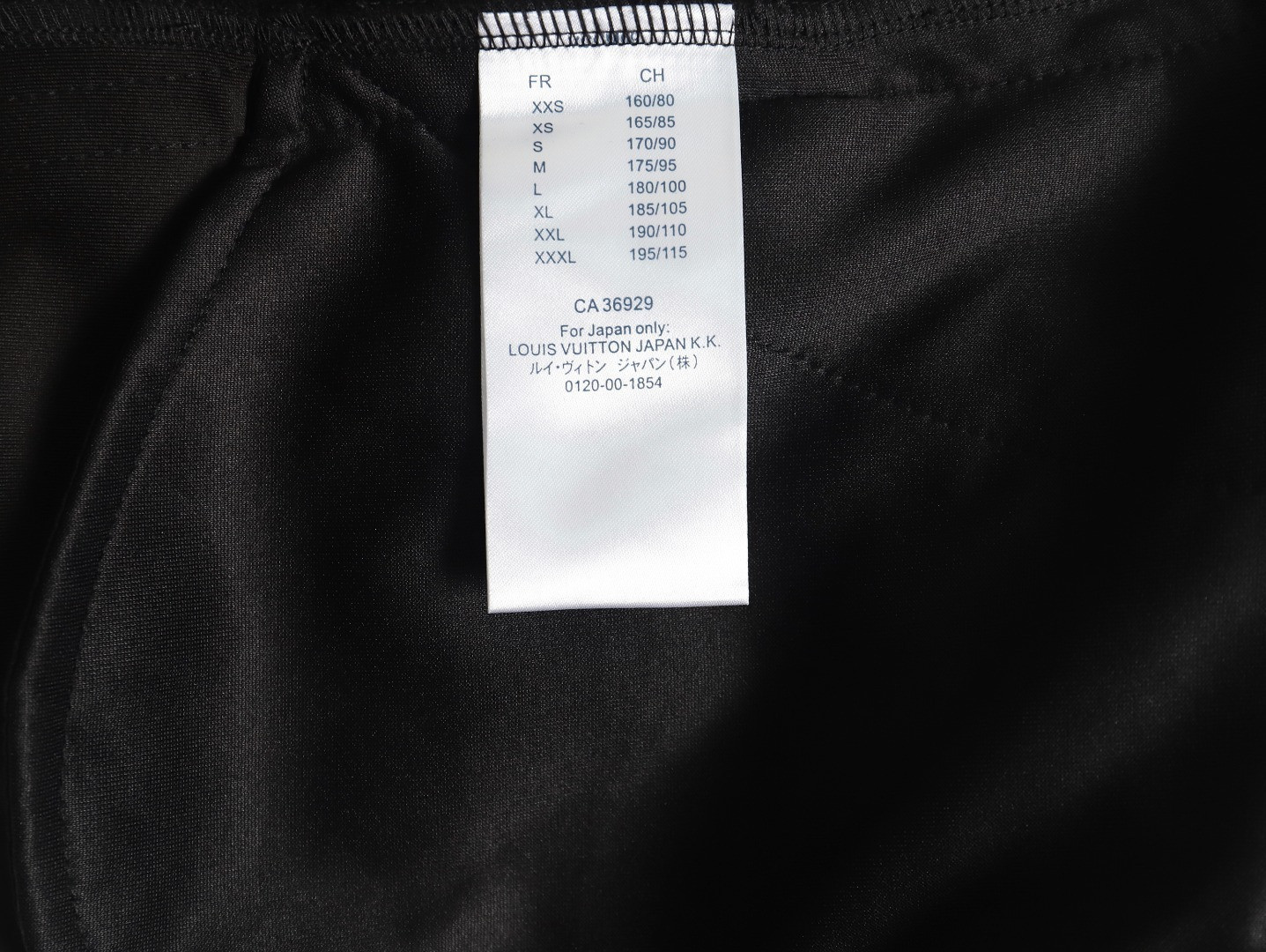Louis Vuitton LV 24ss Pants