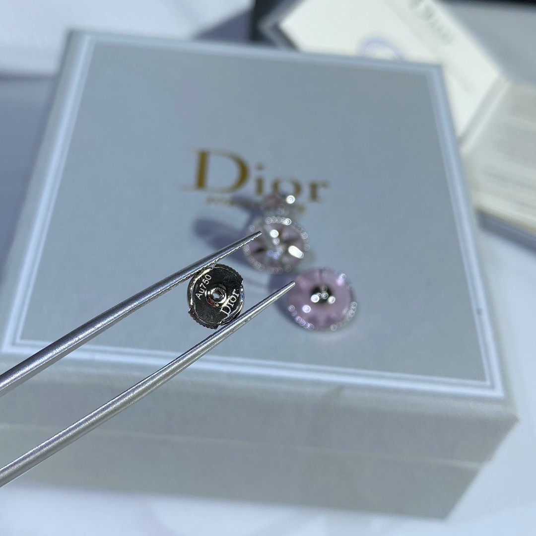 Dior compass Stud Earrings