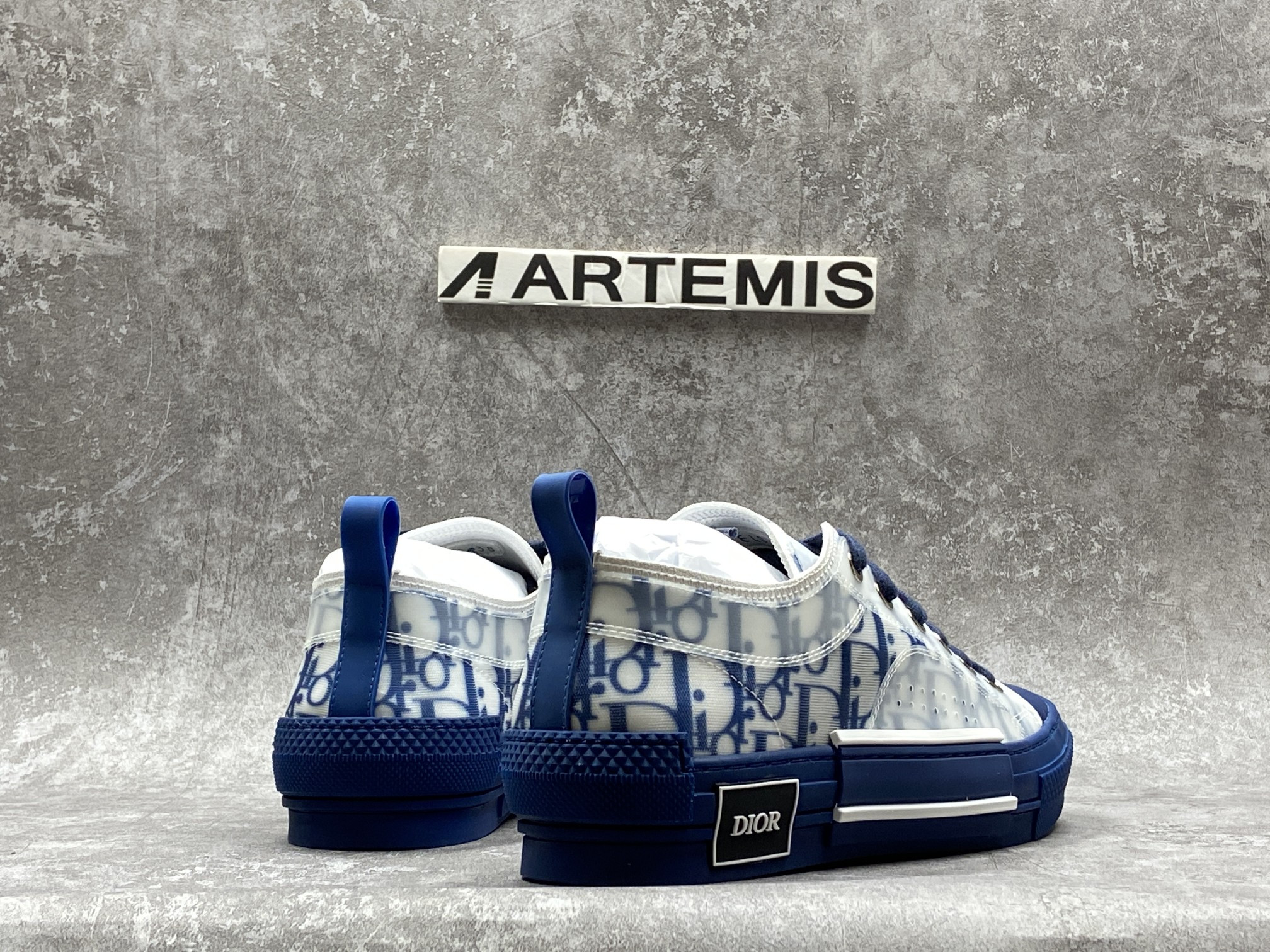 Dior B23 Low Top Blue Oblique