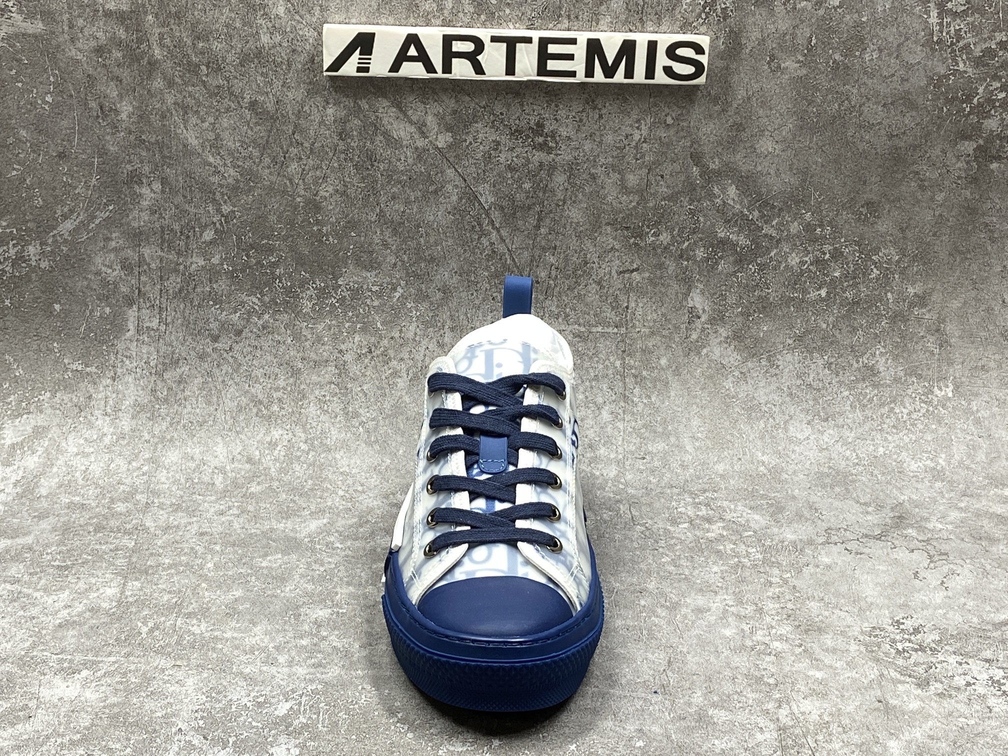 Dior B23 Low Top Blue Oblique