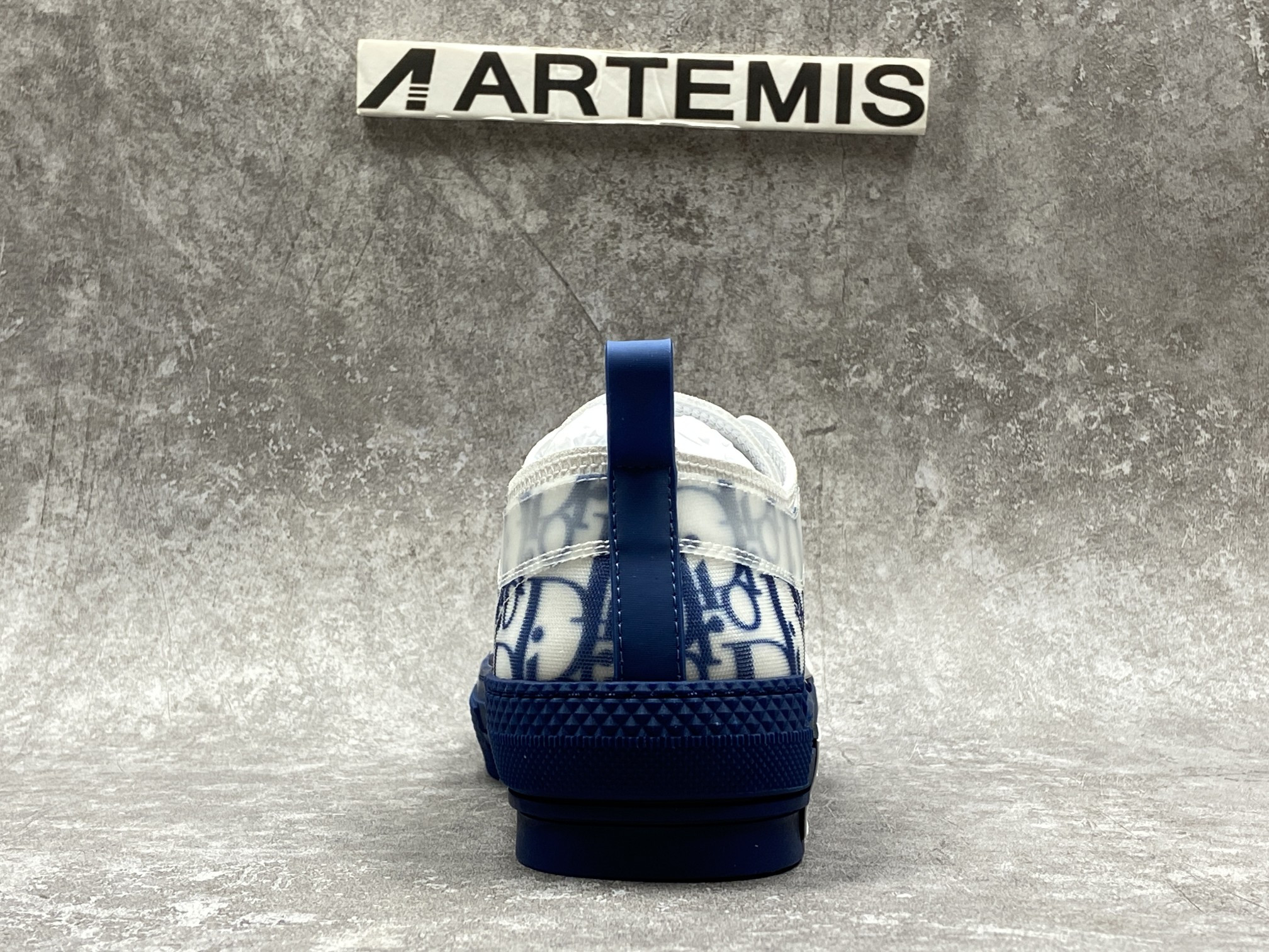 Dior B23 Low Top Blue Oblique