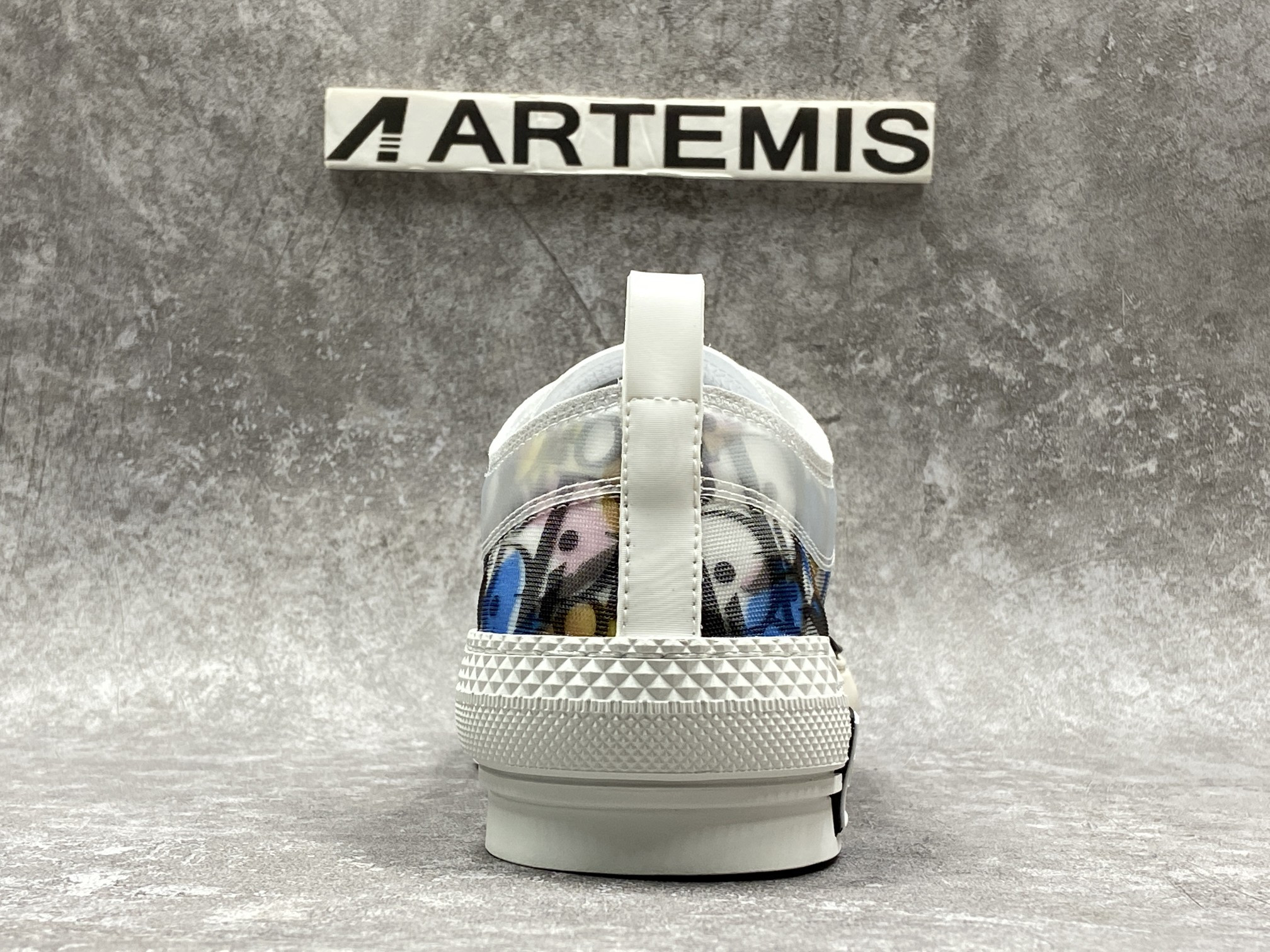 Dior B23 Low Top Alex Foxton Oblique