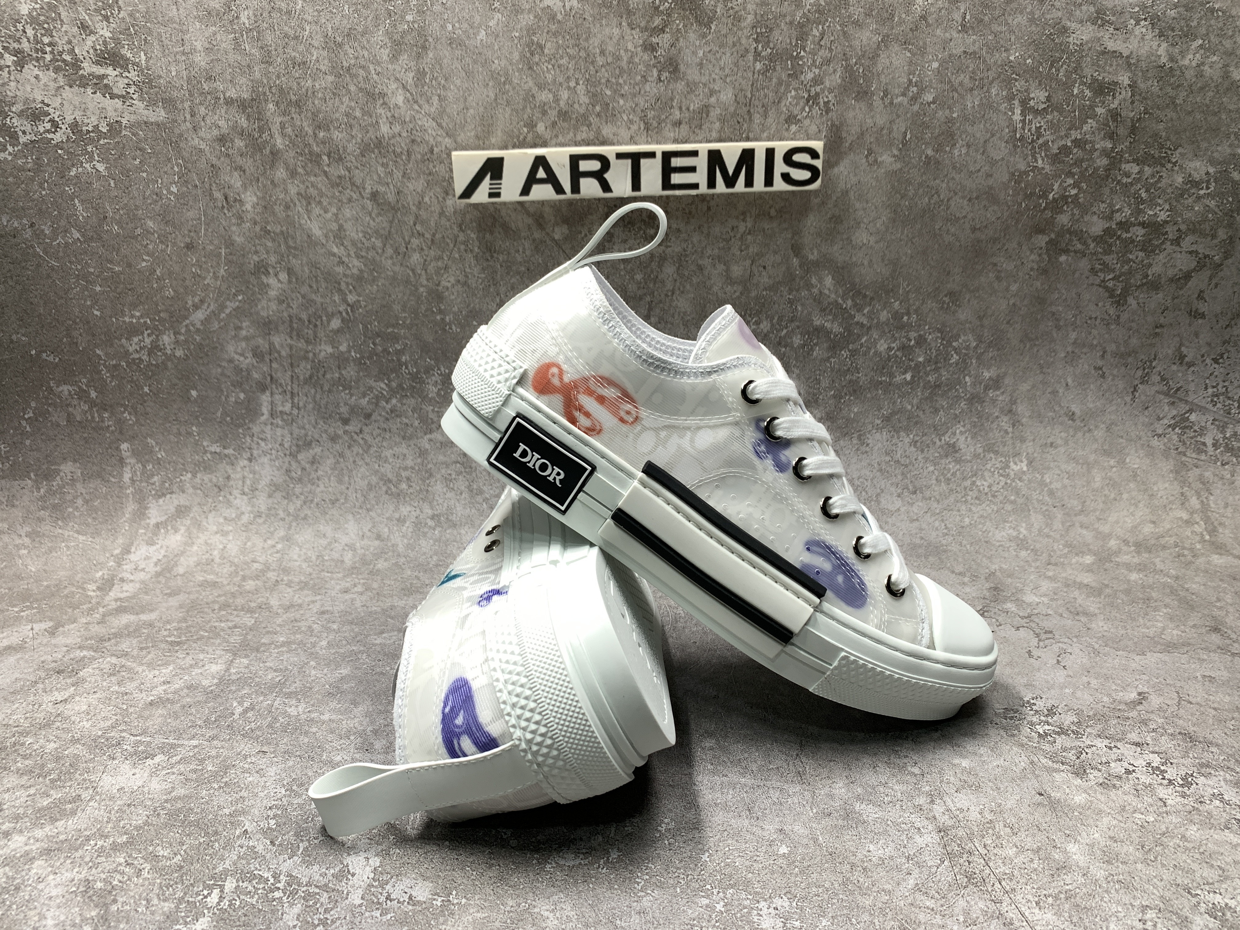 Dior B23 Low X Kenny Schare Multi