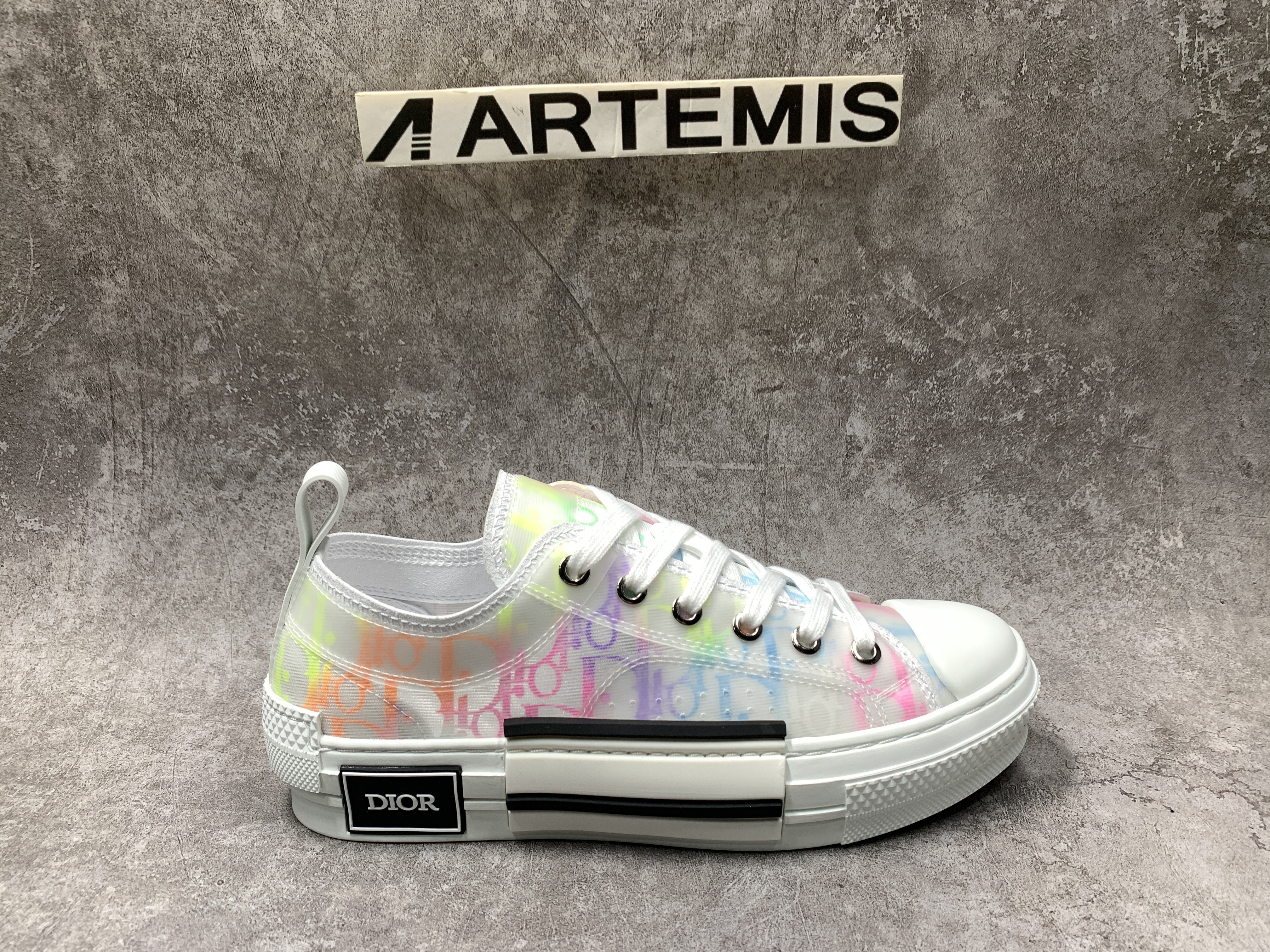 Dior B23 Low MixColor