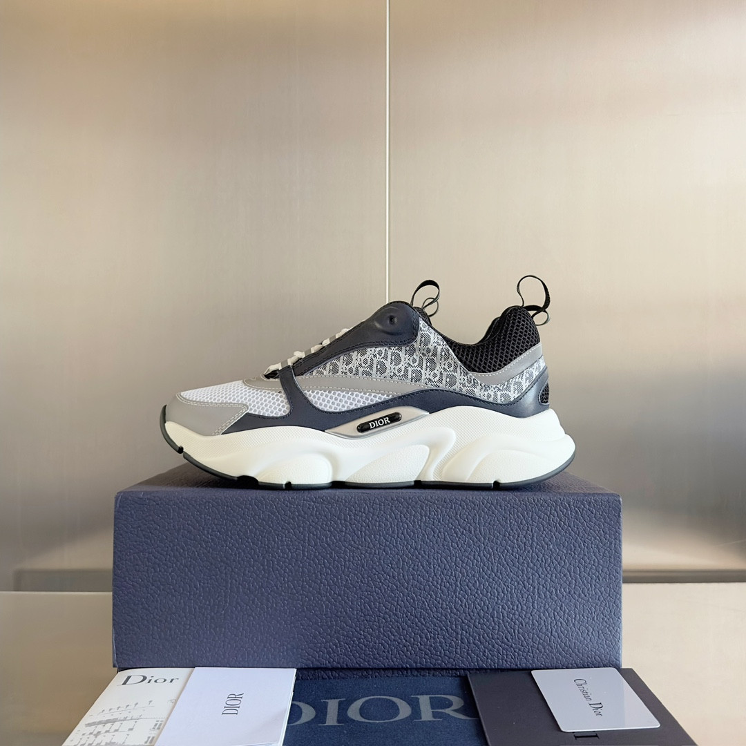 UA Dior B22 gray Sneaker