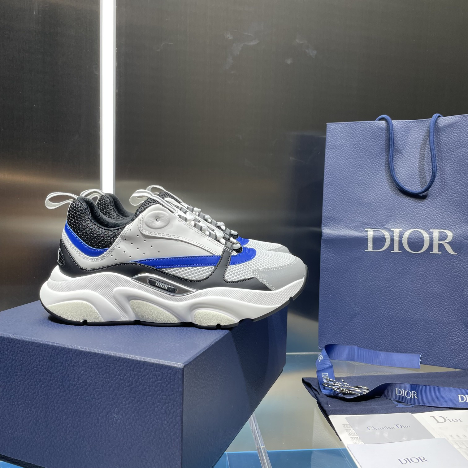 UA Dior B22 white Sneaker