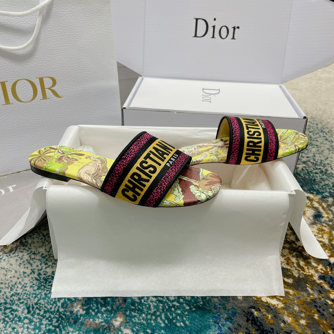 UA DIOR Dway Slide