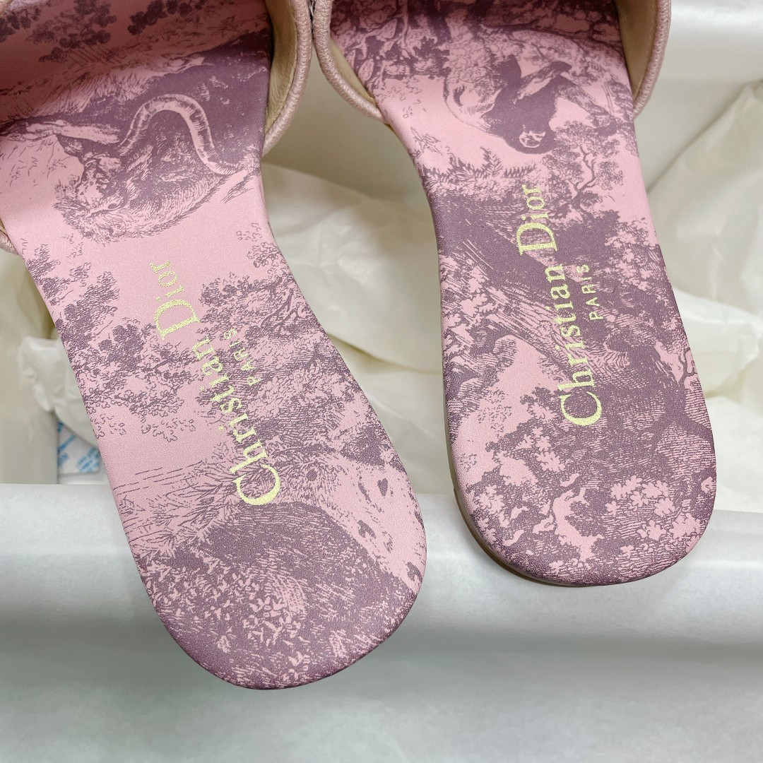UA DIOR Dway Slide