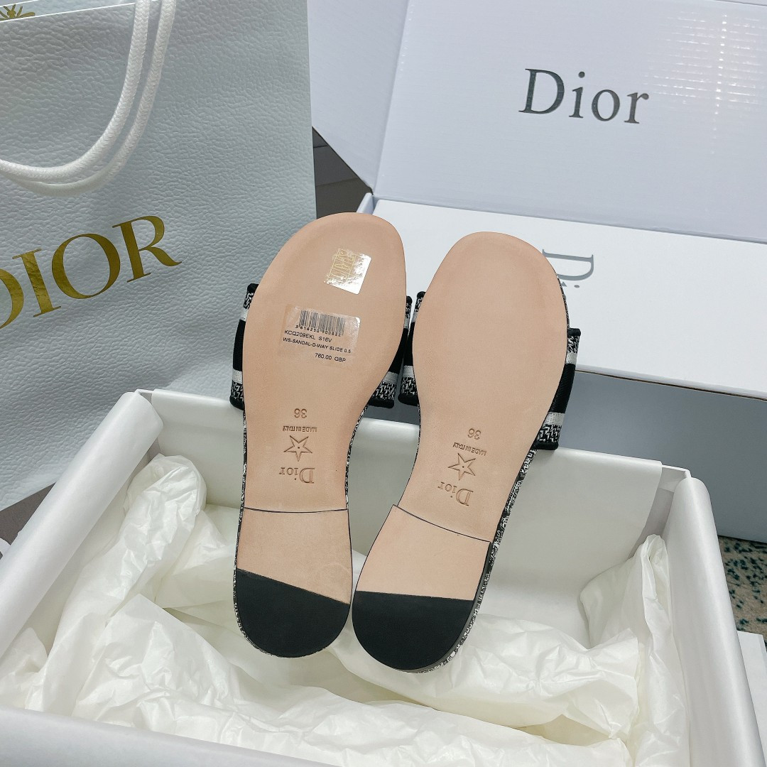 UA DIOR Dway Slide