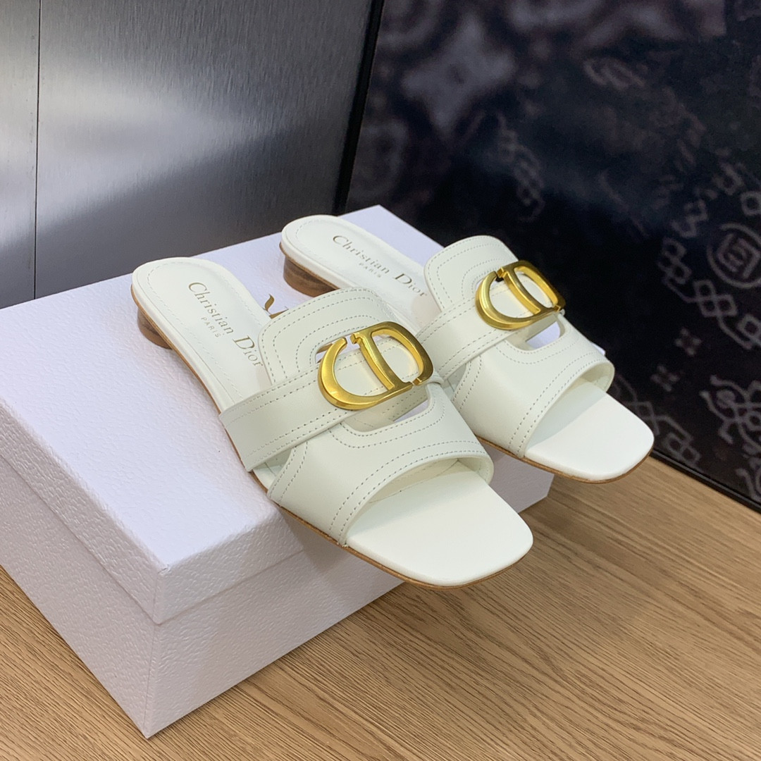 UA DIOR 30 Montaigne Slide