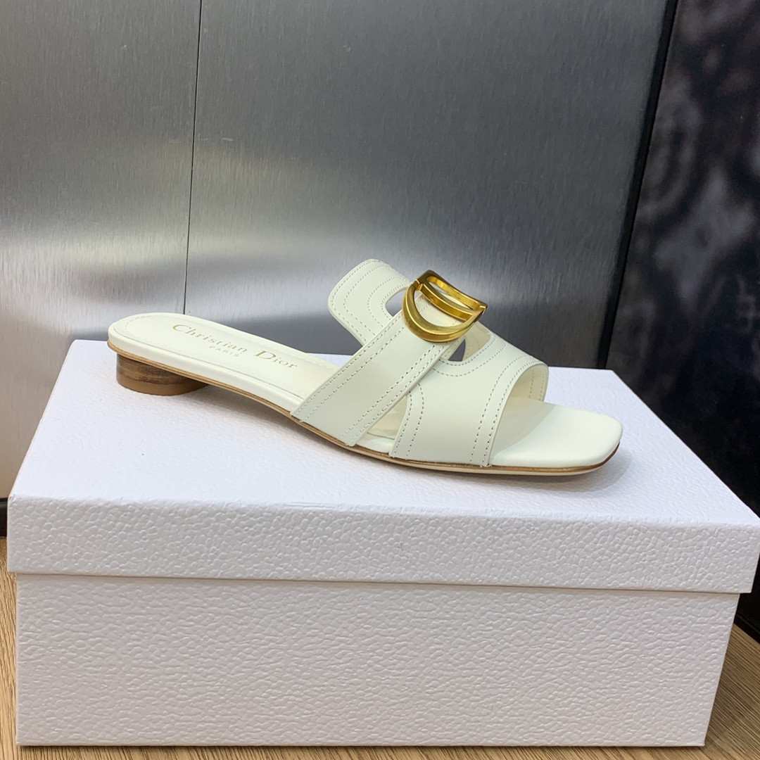 UA DIOR 30 Montaigne Slide