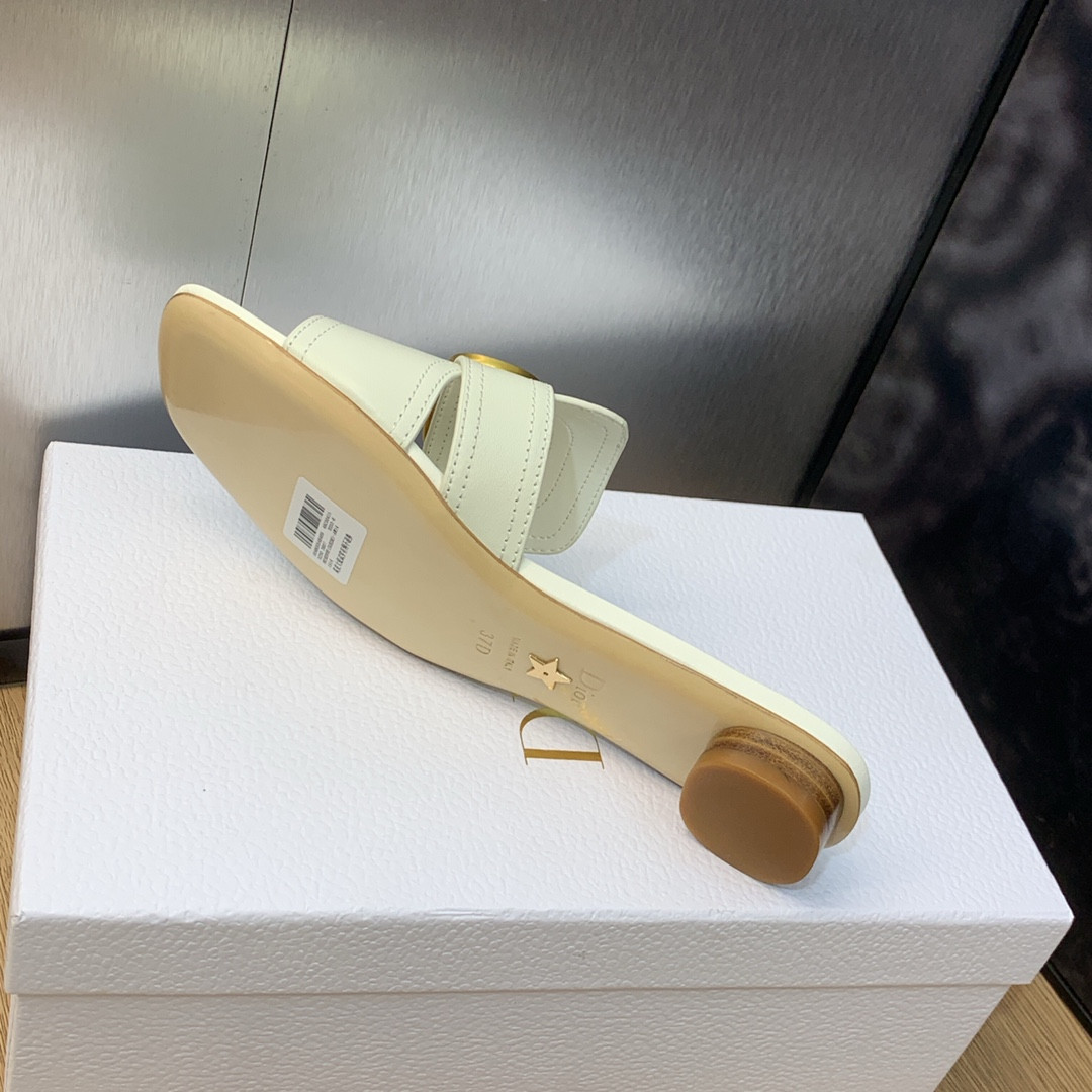 UA DIOR 30 Montaigne Slide