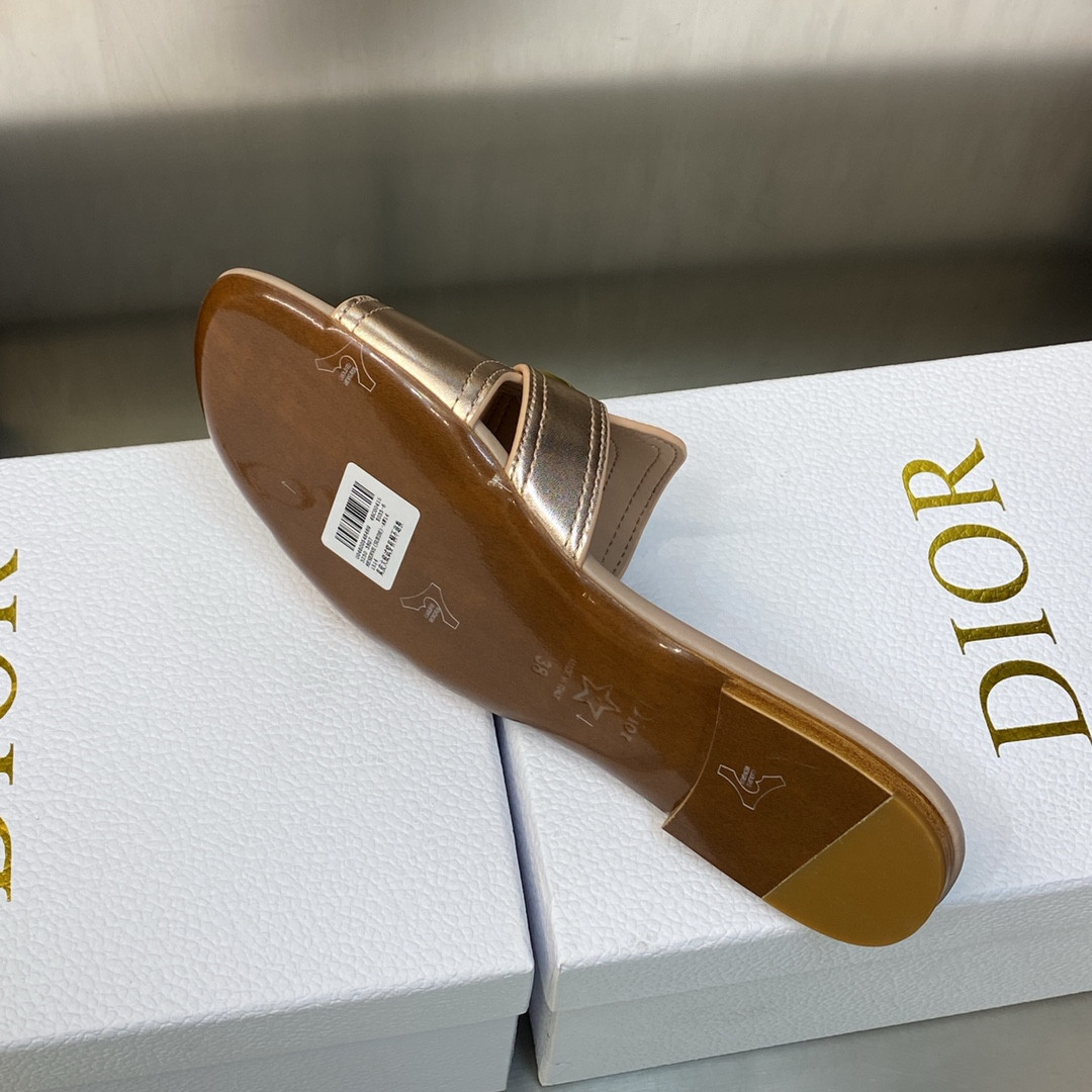 UA DIOR 30 Montaigne Slide