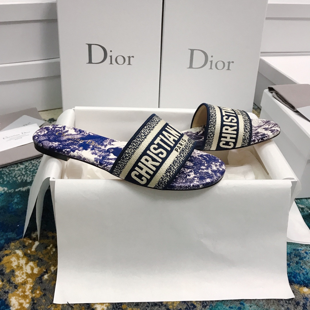 UA DIOR Dway Slide