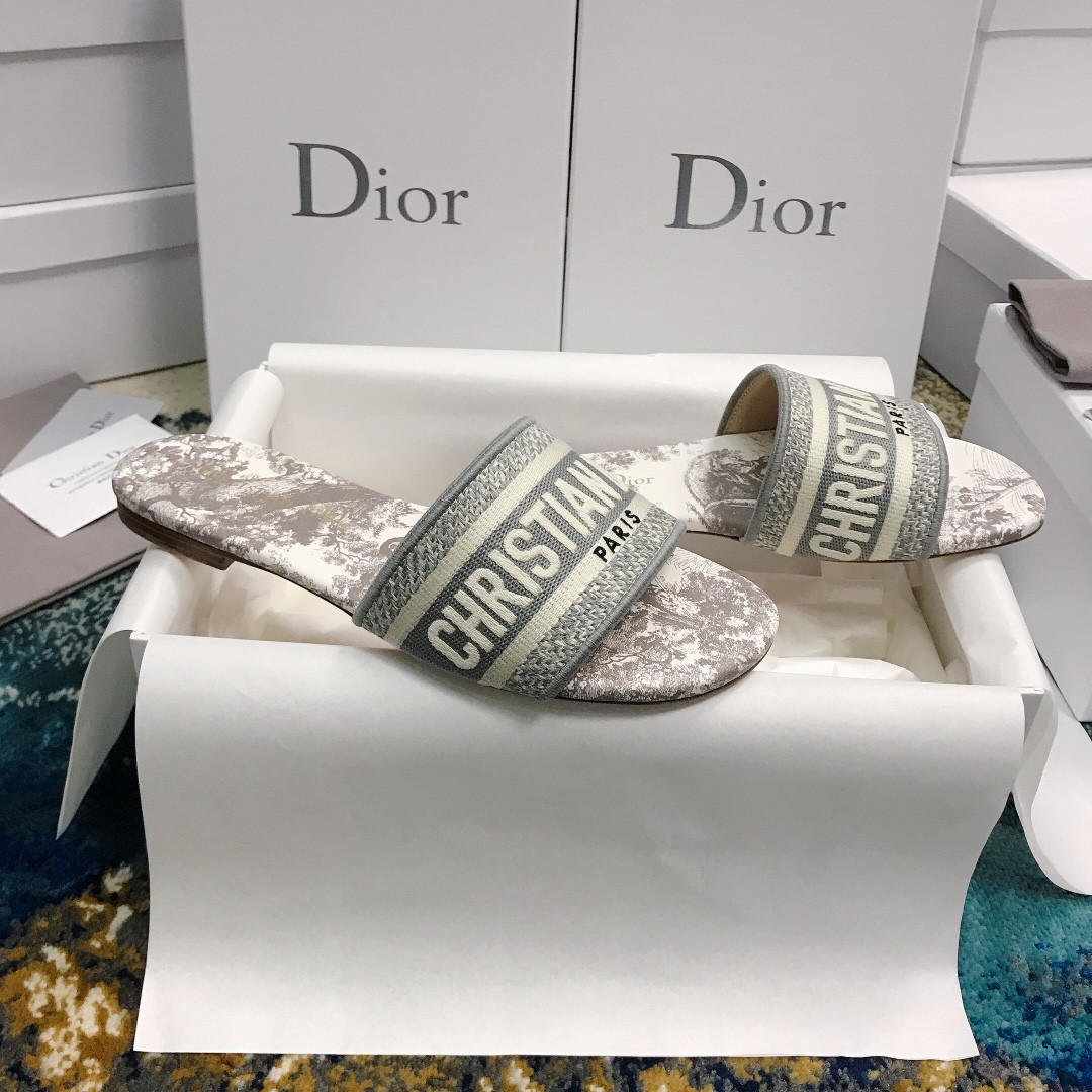UA DIOR Dway Slide