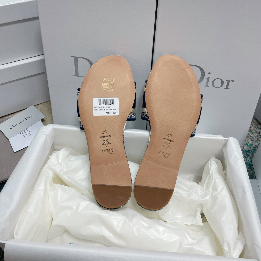 UA DIOR Dway Slide