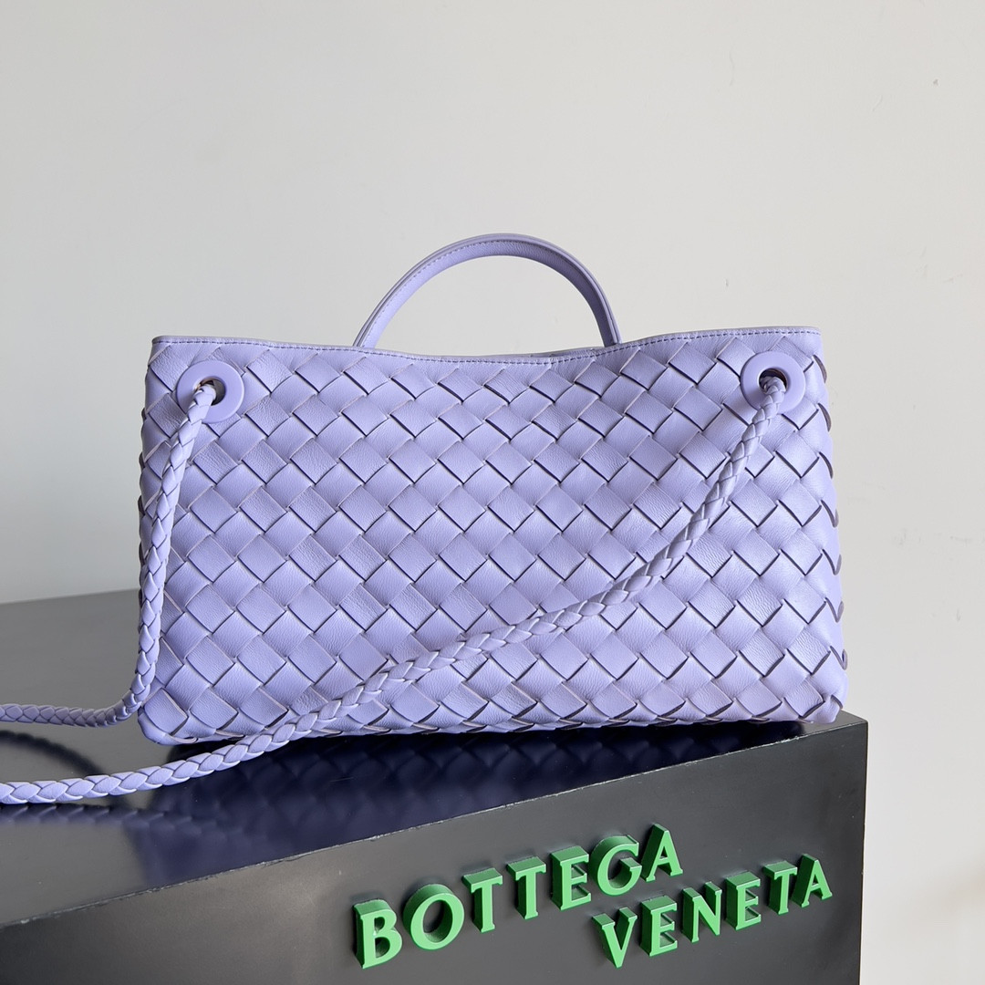 Bottega Veneta East-West Andiamo 29x10x18CM