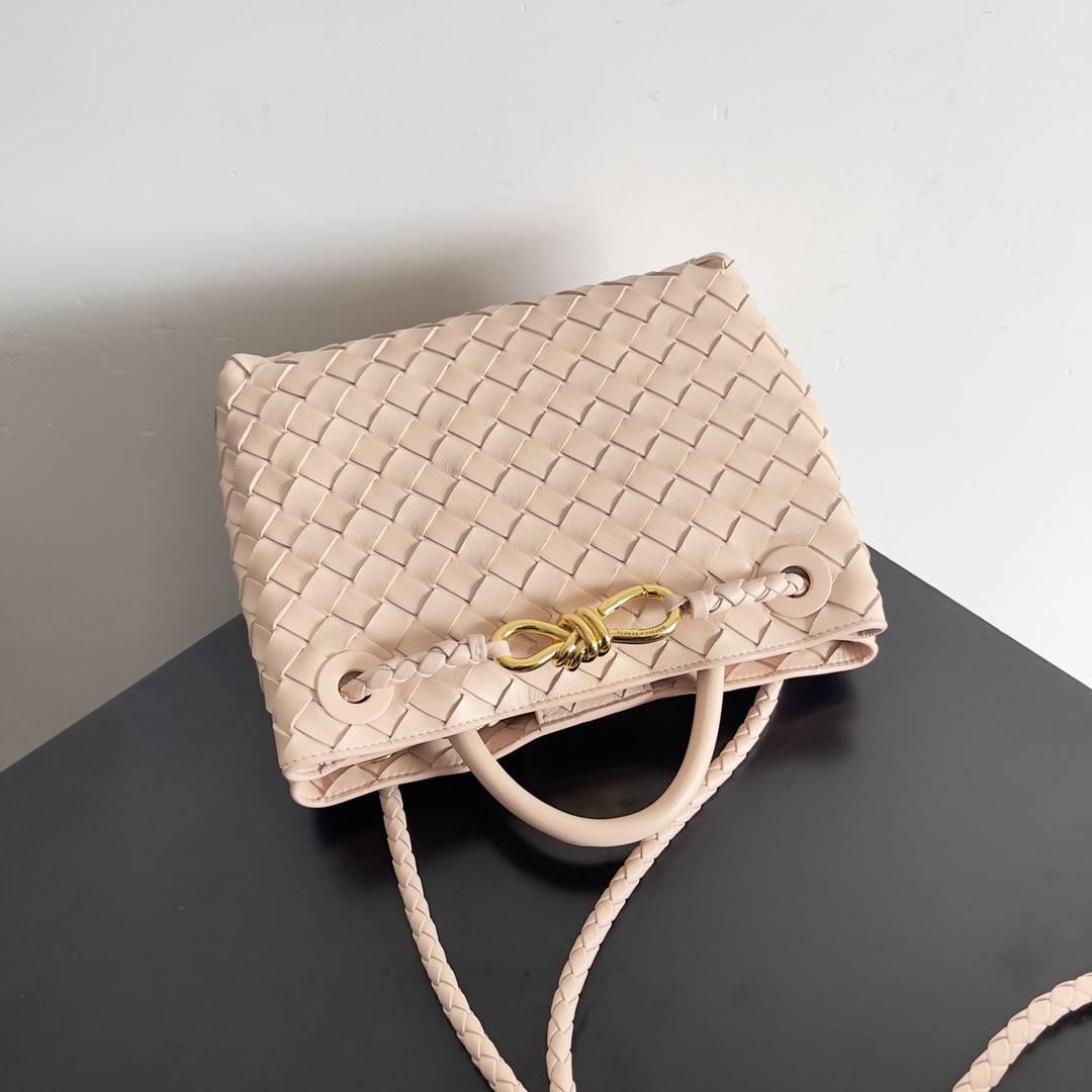 Bottega Veneta Small Andiamo 25x22x10.5cm