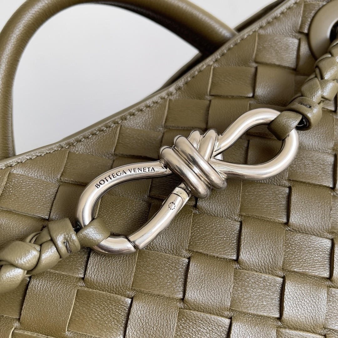 Bottega Veneta Small Andiamo 25x22x10.5cm