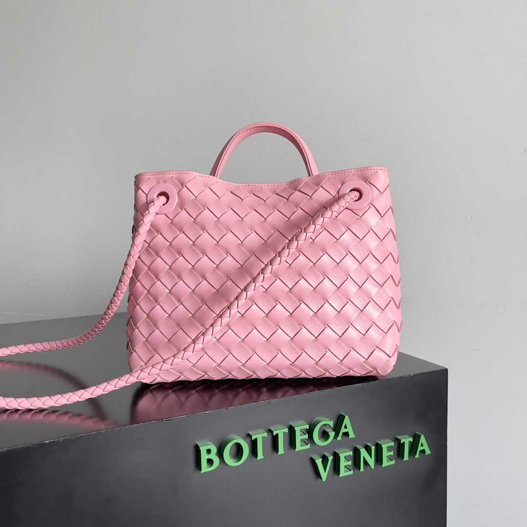 Bottega Veneta Small Andiamo 25x22x10.5cm