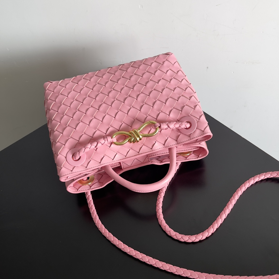 Bottega Veneta Small Andiamo 25x22x10.5cm