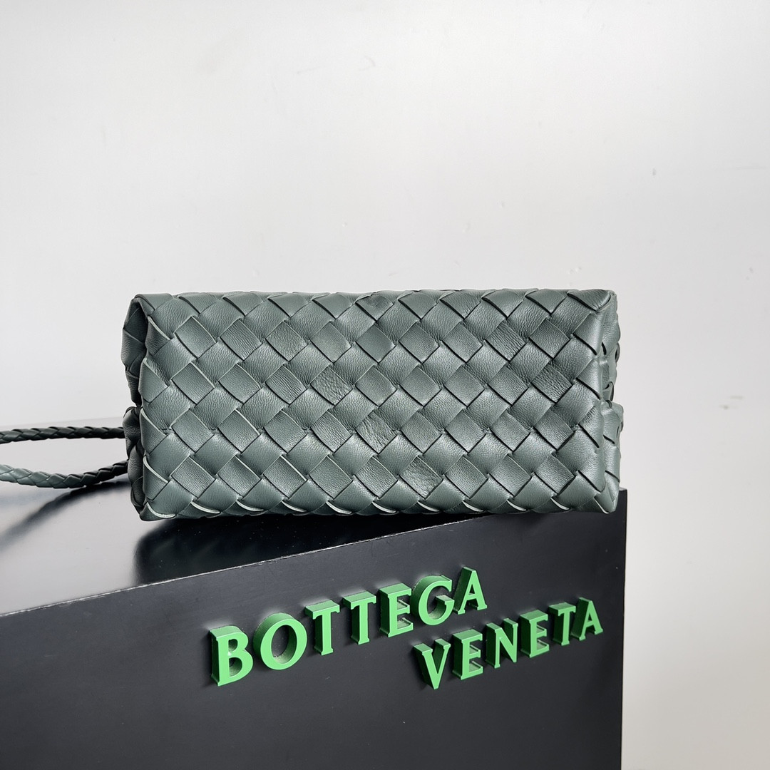 Bottega Veneta Small Andiamo 25x22x10.5cm