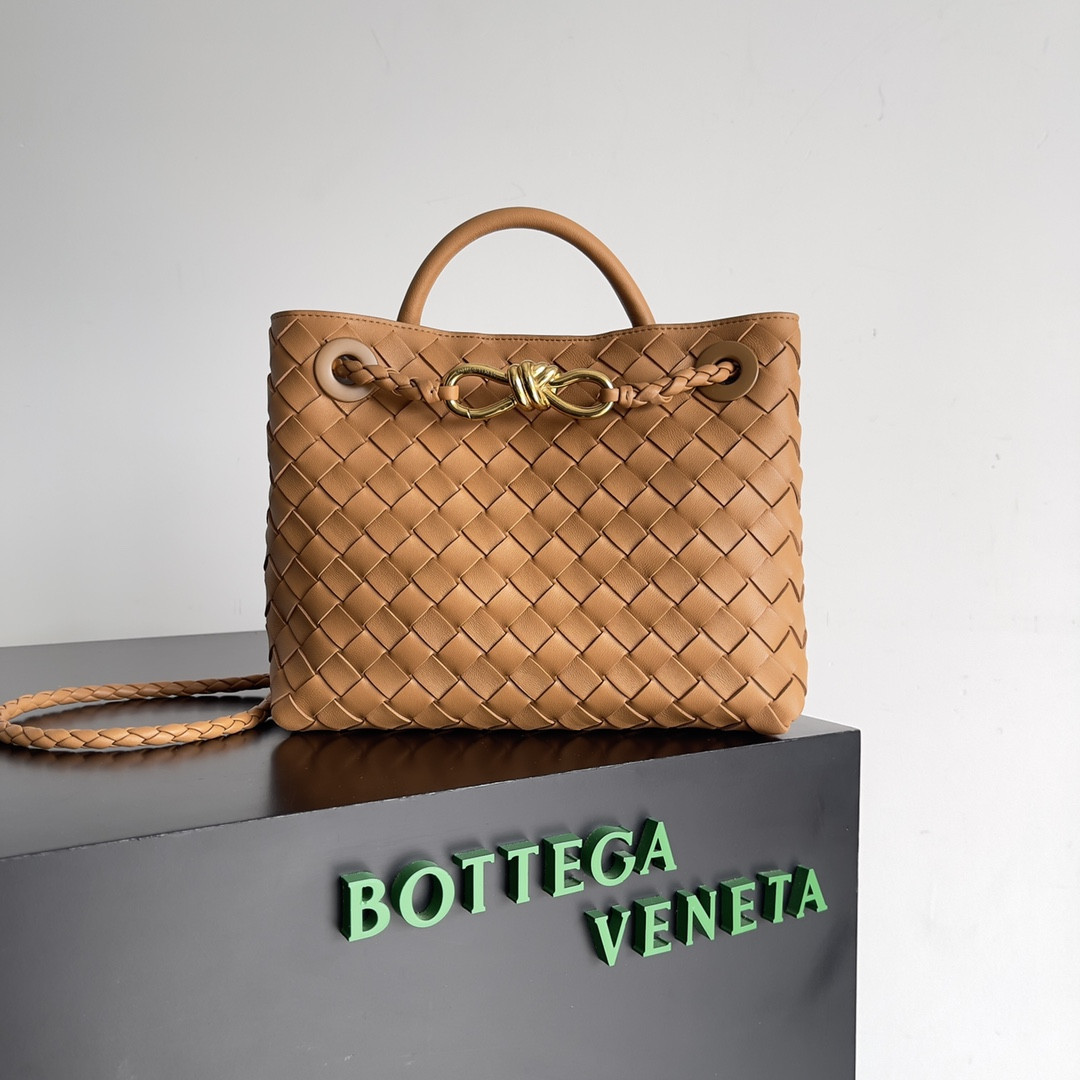 Bottega Veneta Small Andiamo 25x22x10.5cm