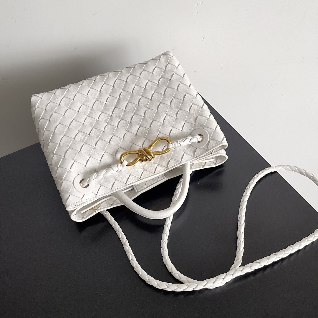 Bottega Veneta Small Andiamo 25x22x10.5cm
