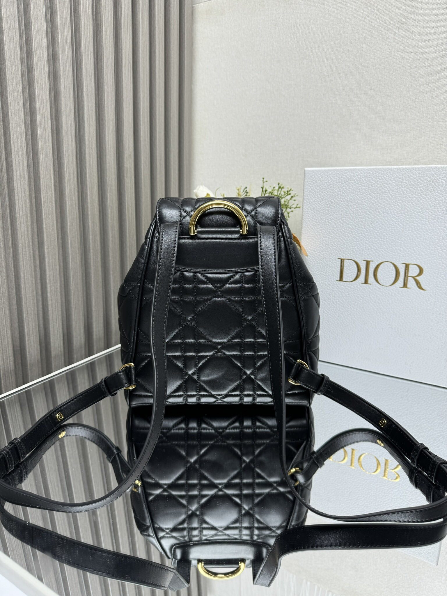 Dior Caro Backpack Medium 23 x 26.7 x 12.5 cm