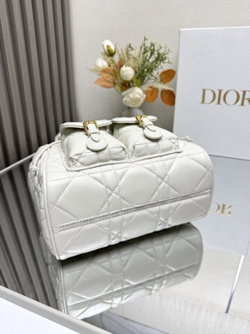 Dior Caro Backpack Medium 23 x 26.7 x 12.5 cm