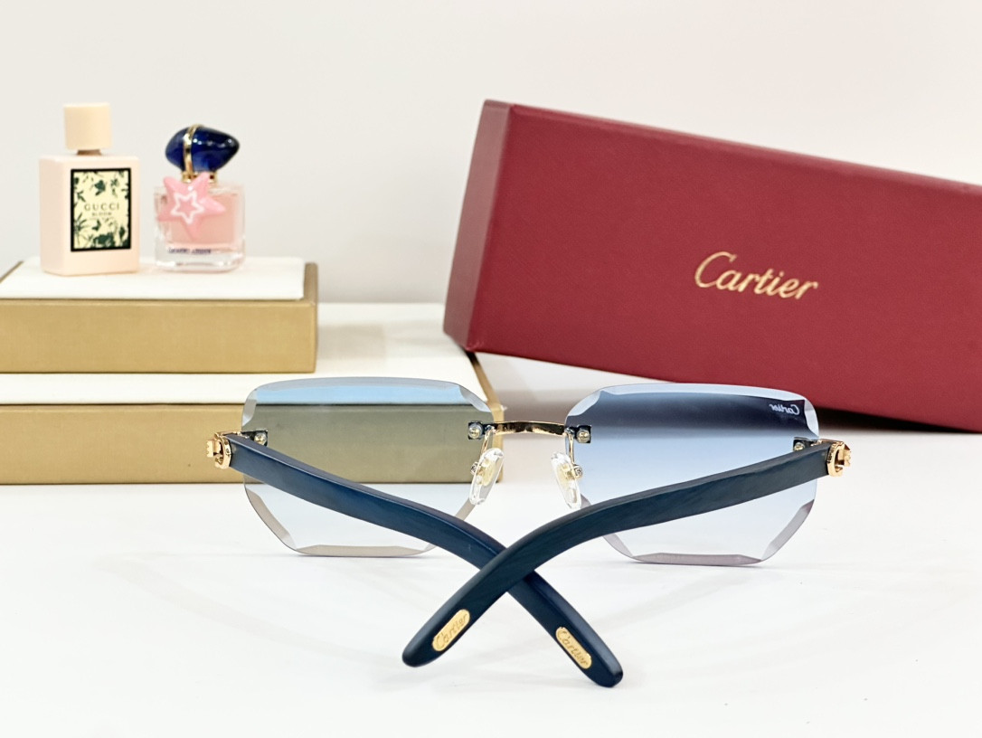 Cartier Glasses PARIS CT0620S