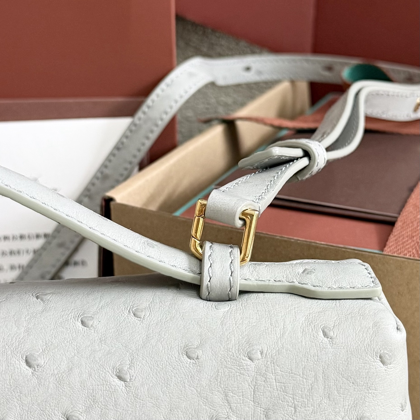 Loro Piana Extra Pocket L27 Ostrich-grained Leather 16x27x10cm